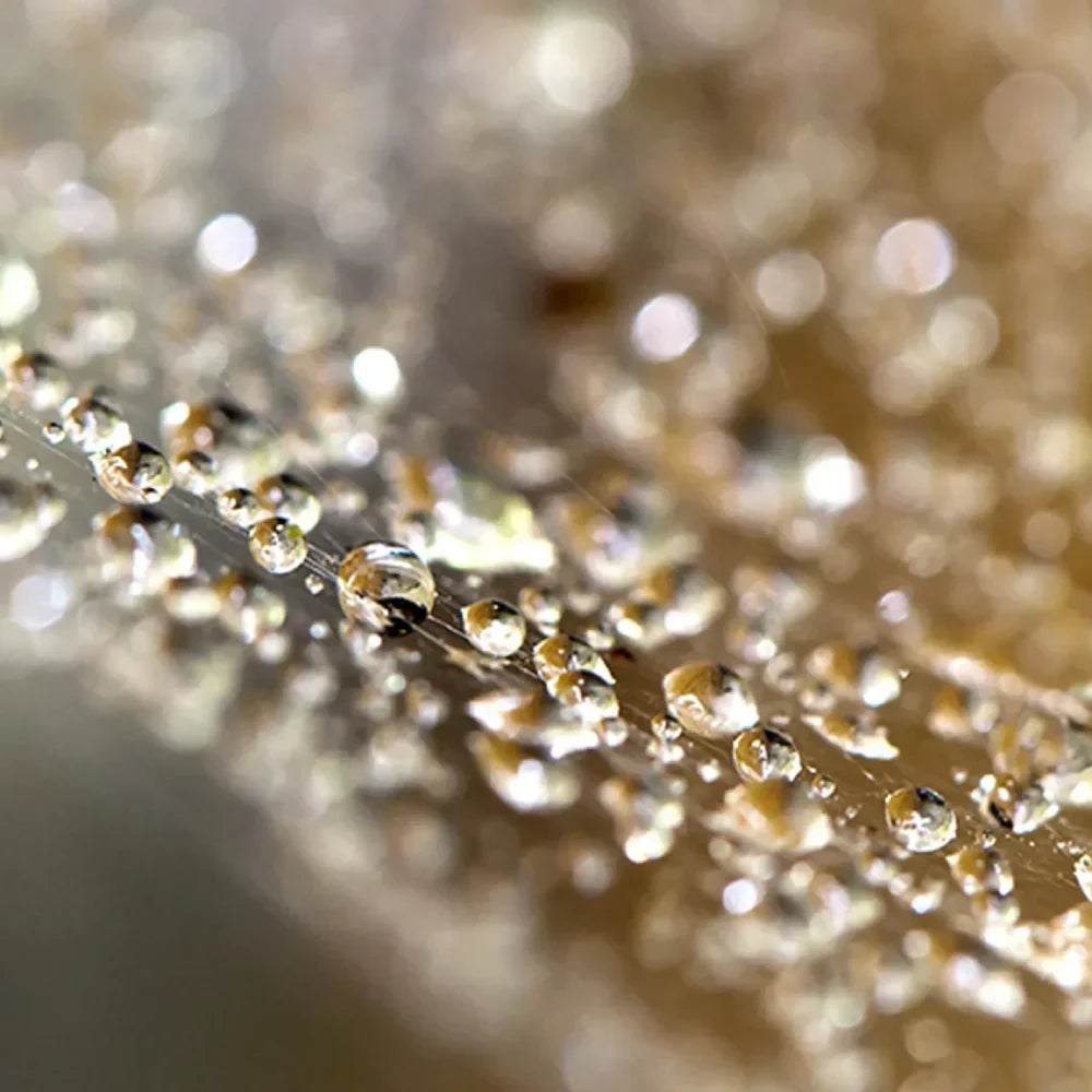 How Does Collagen work?