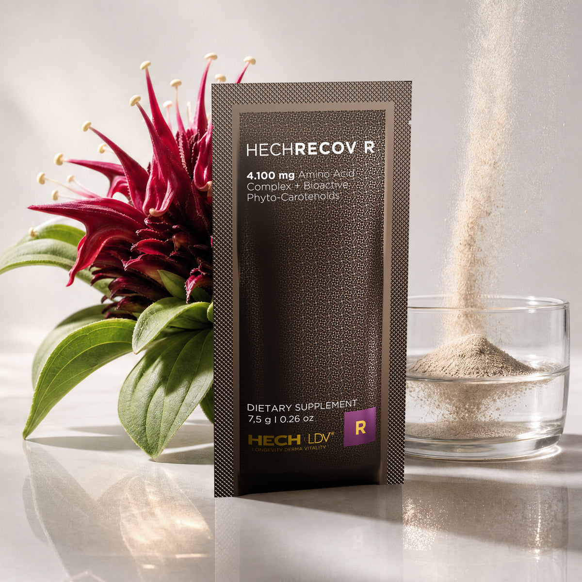 HECH|LDV® HECHRECOV R