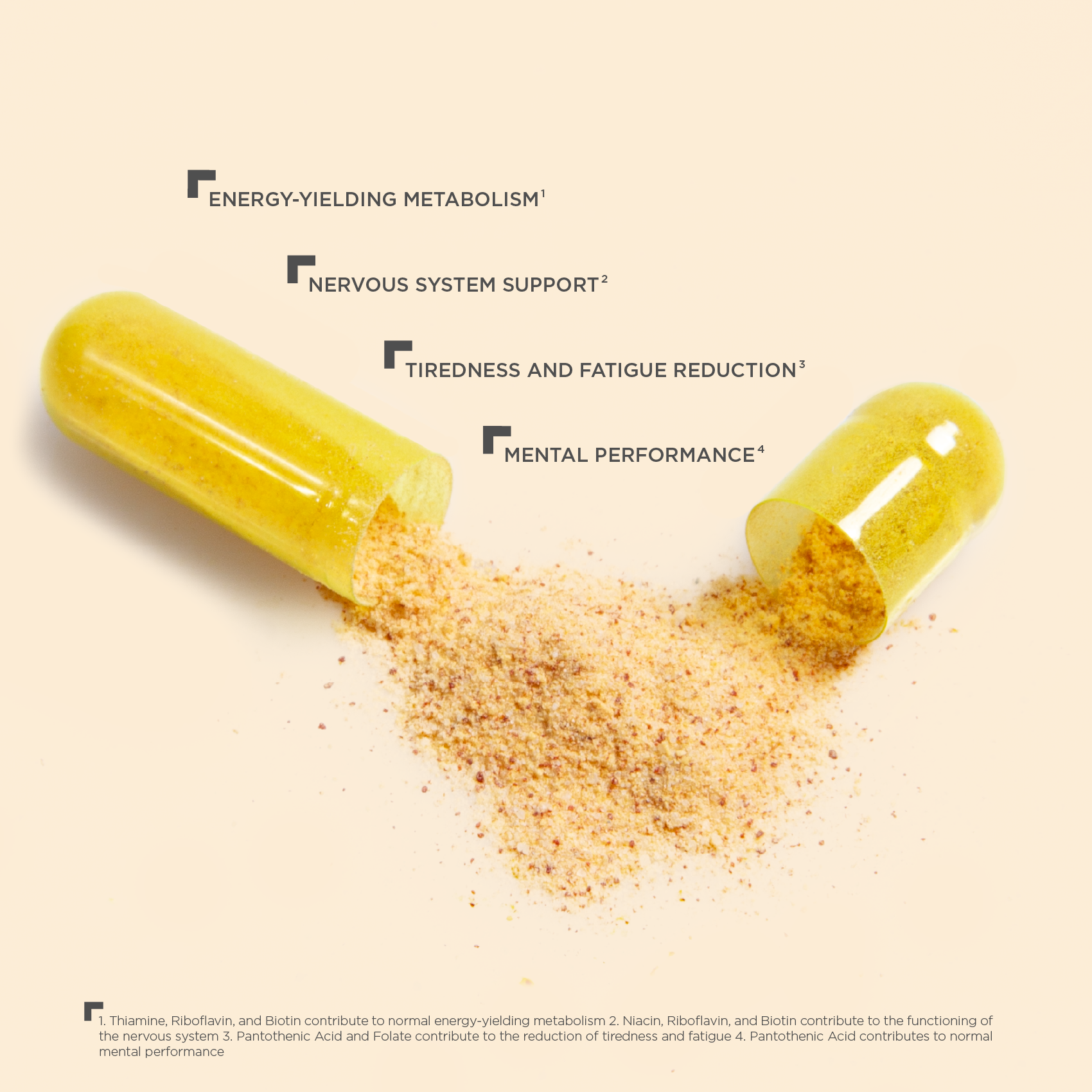 HECH® SAFFRON B-COMPLEX <br> 60 Kapseln